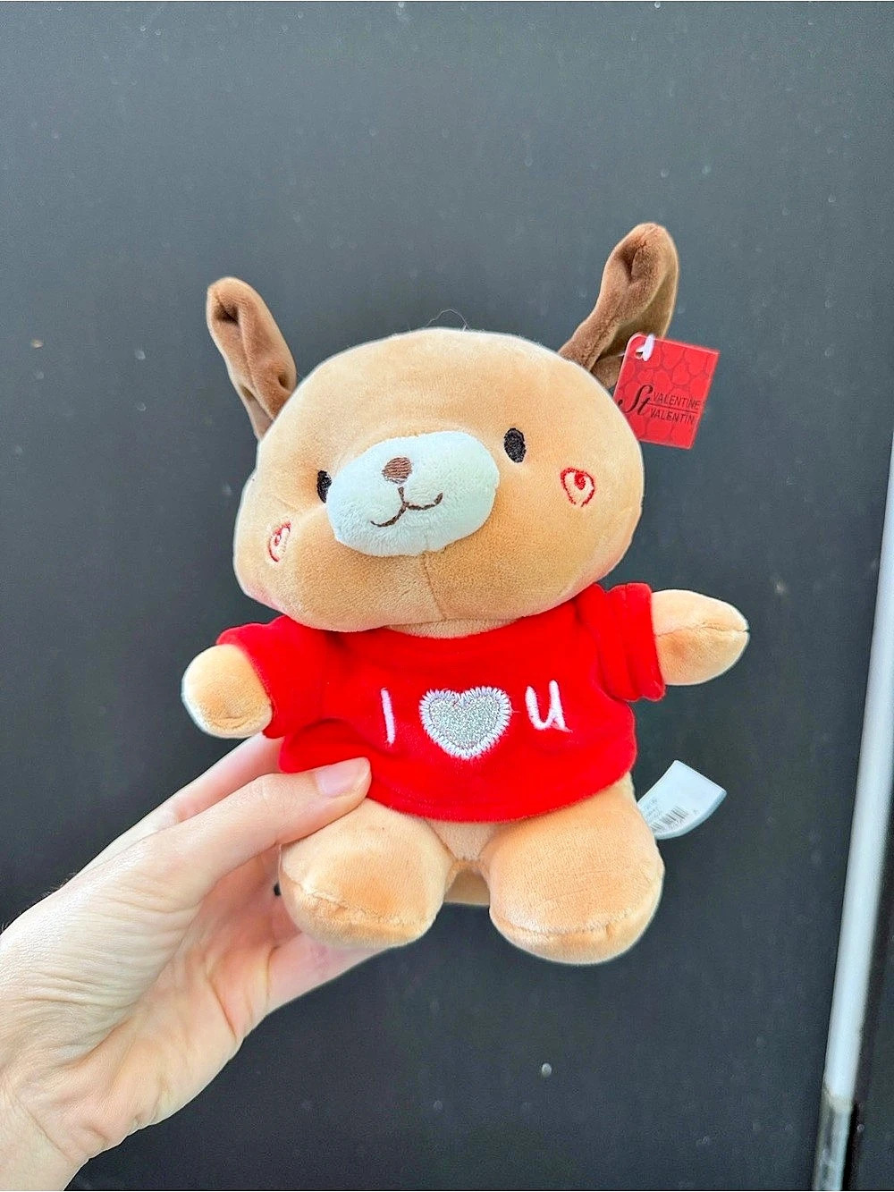 Teddy Bear I Love You Plush in Red